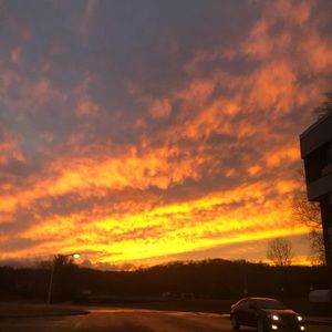 Meet your Posher, Lia